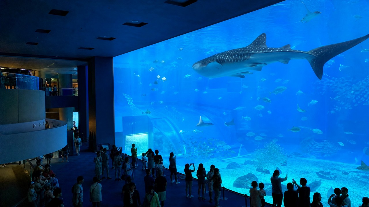 沖繩美麗海水族館