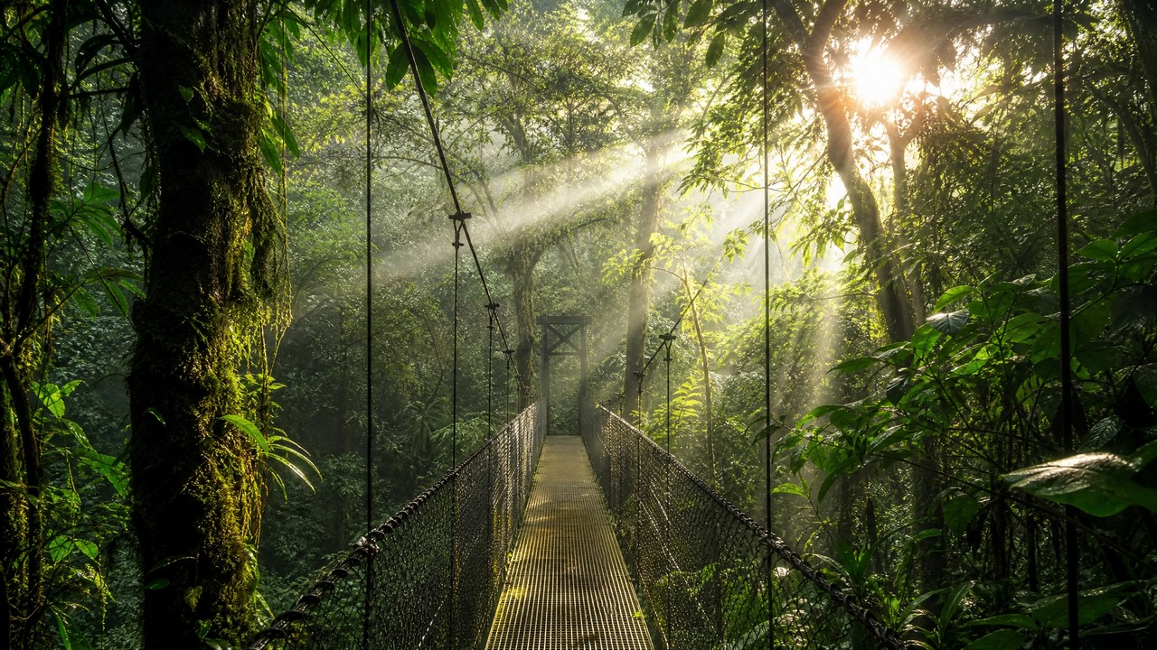 Costa Rica - Monteverde